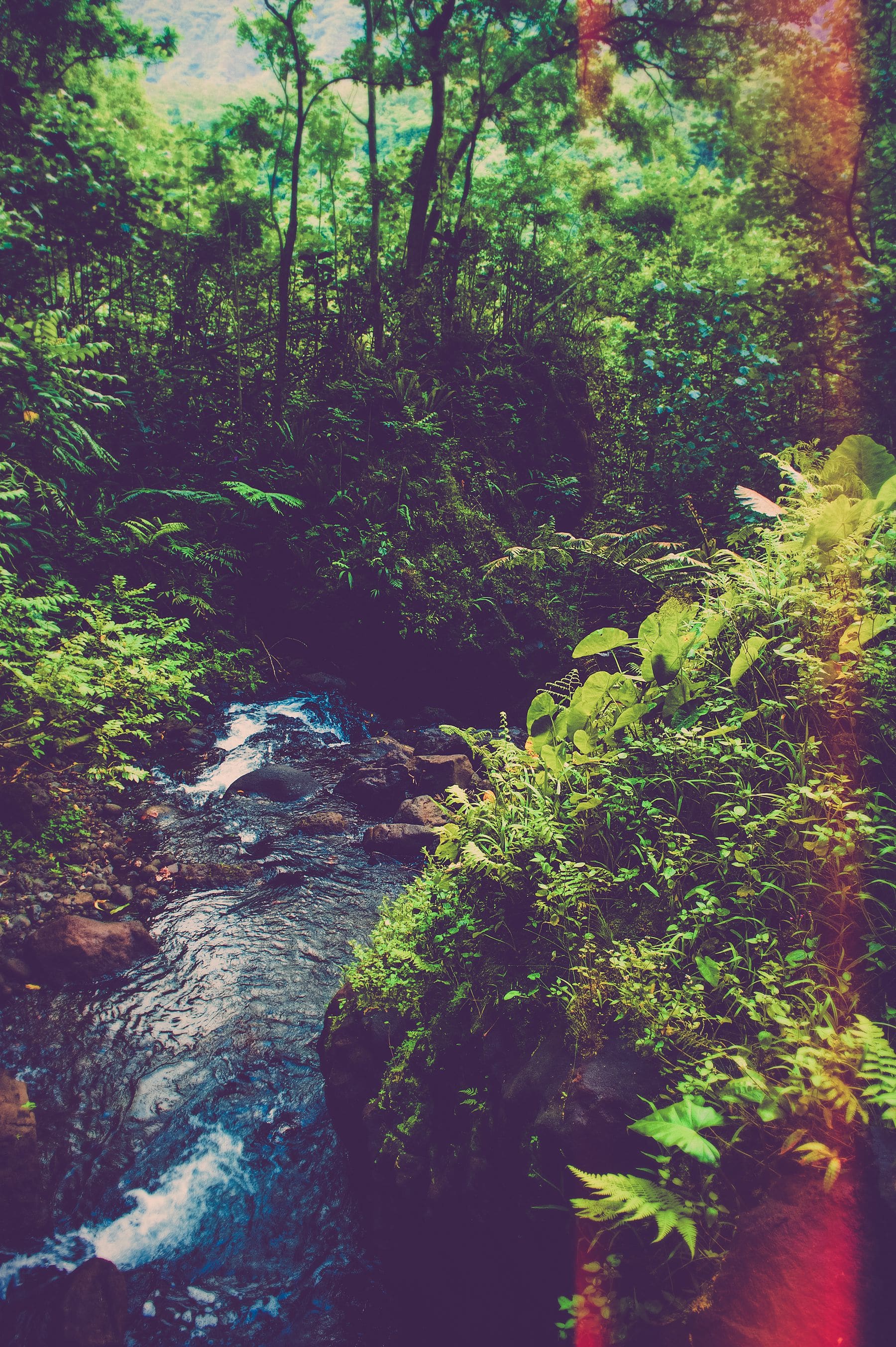 Séance photo portrait Tahiti, Rachelle par Marc Gérard Photography