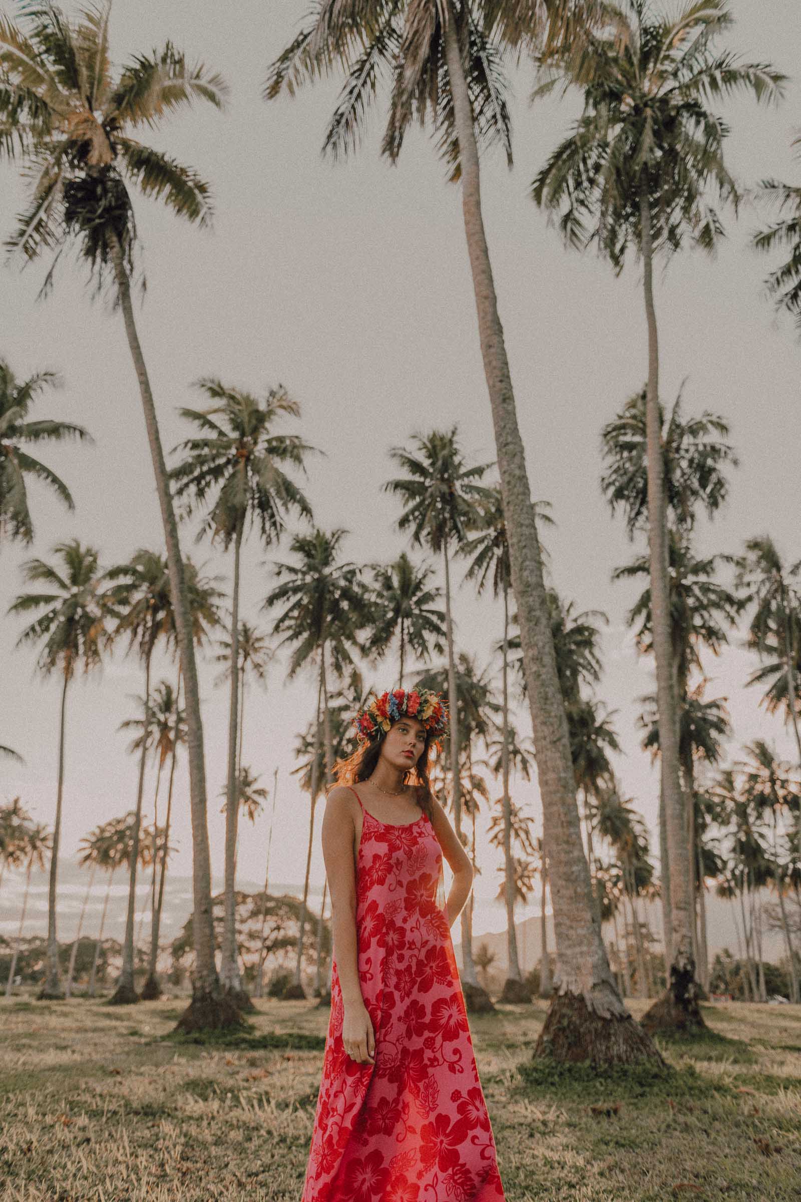 Séance photo sous les cocotiers à Tahiti
