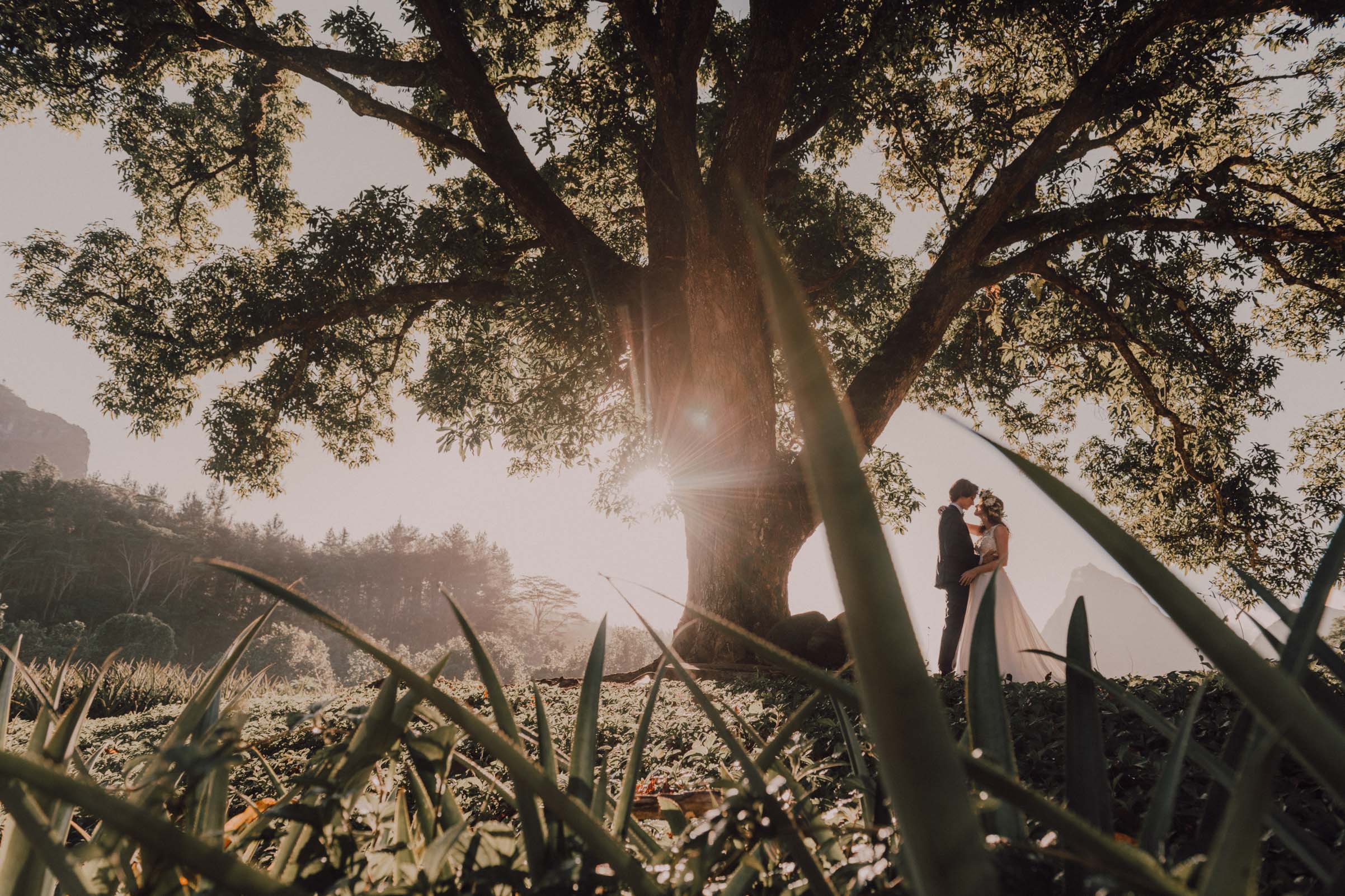 Photo Trash The Dress Moorea