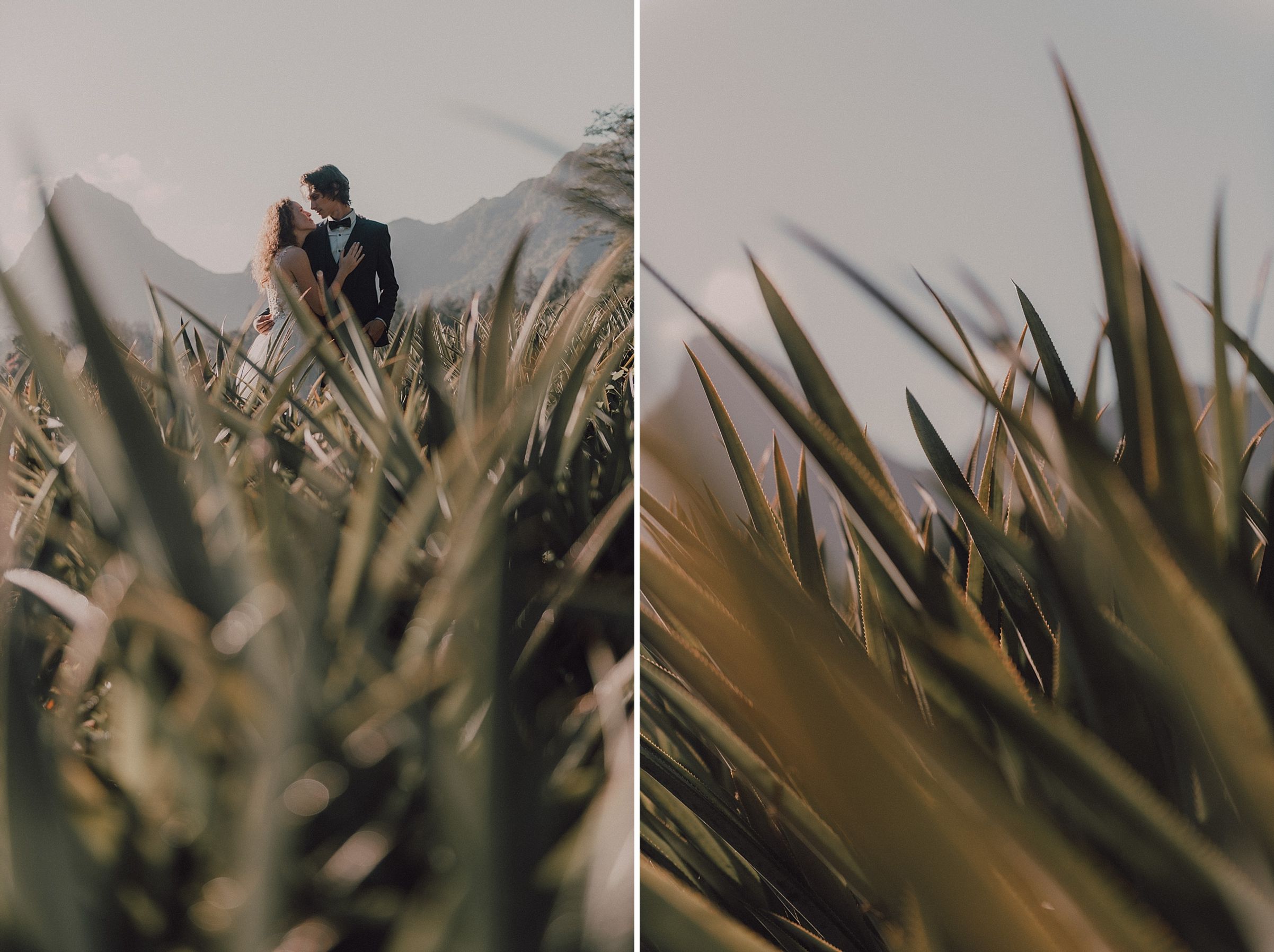 Photo Trash The Dress Moorea