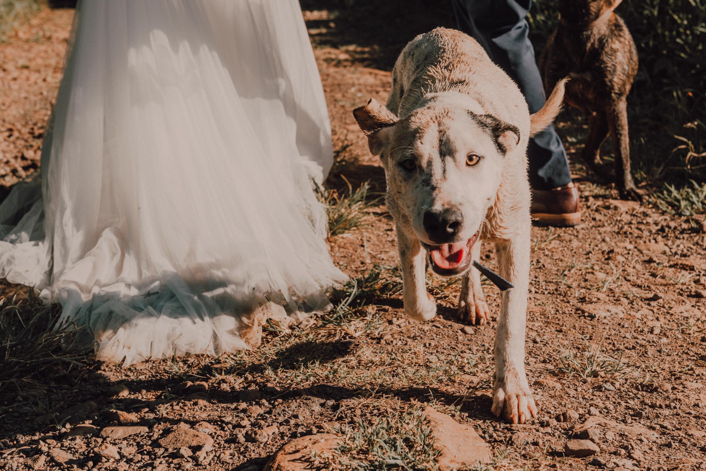 Photo Trash The Dress Moorea