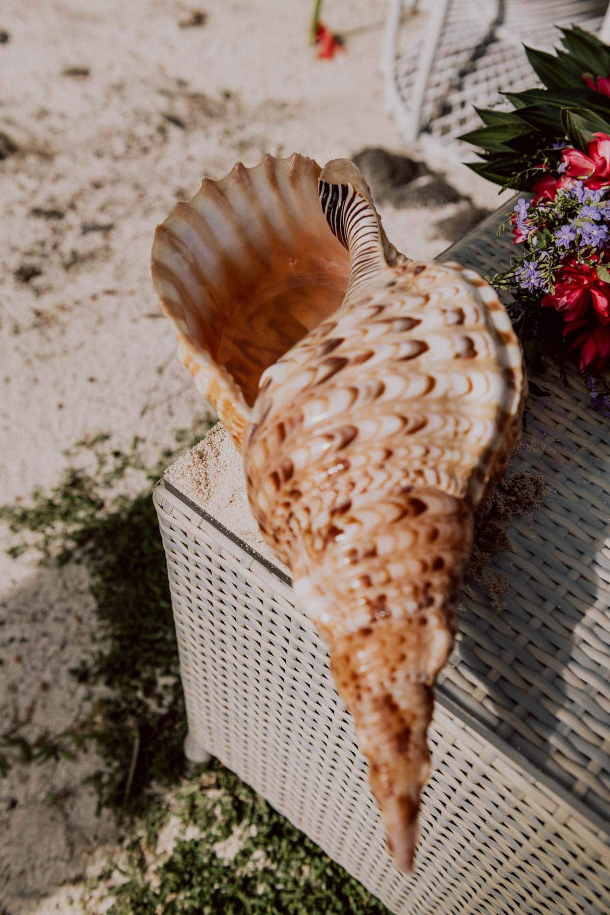 Bora Bora Wedding Photographer, Maitai Hotel